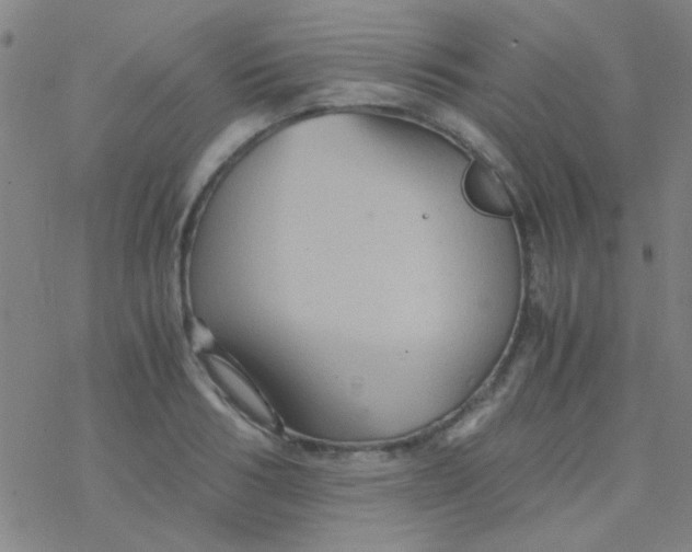 X0000076450986200610271819