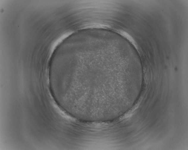 X0000076450987200610271819