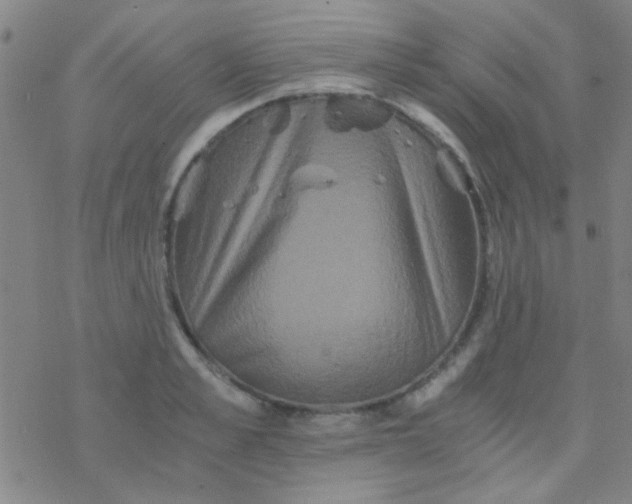 X0000076450989200610271819