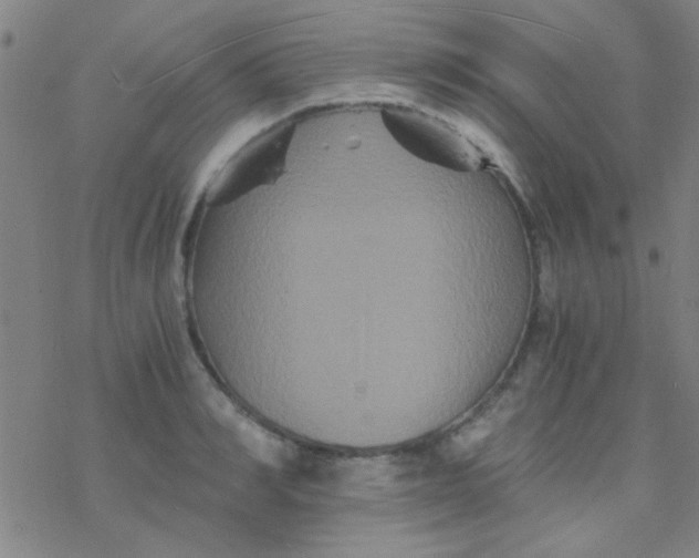 X0000076450990200610271819