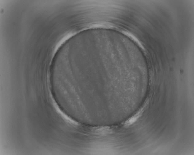 X0000076450991200610271819