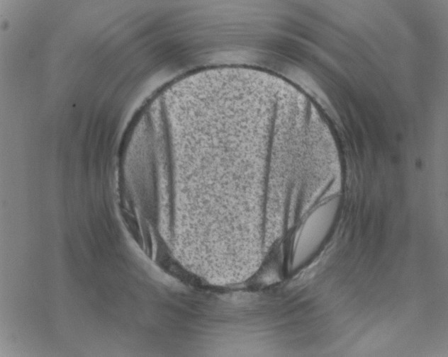 X0000076450992200610271819