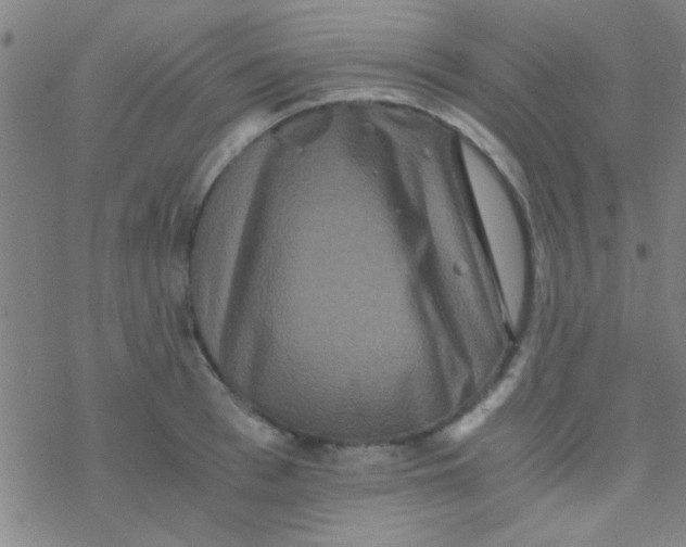 X0000076450993200610271819