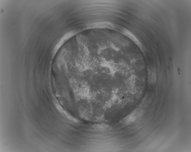 X0000076450994200610271819