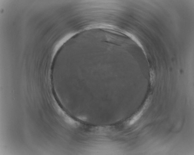 X0000076450995200610271819