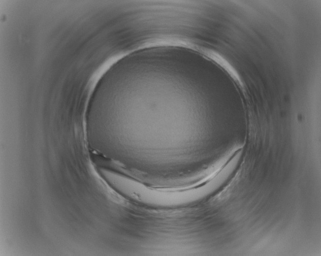 X0000076450996200610271819