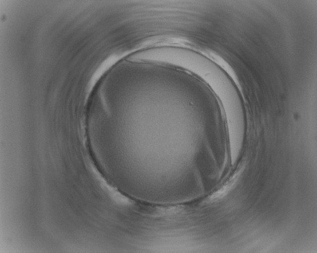 X0000076450997200610271819