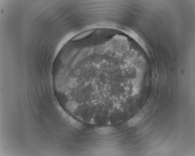 X0000076450998200610271819