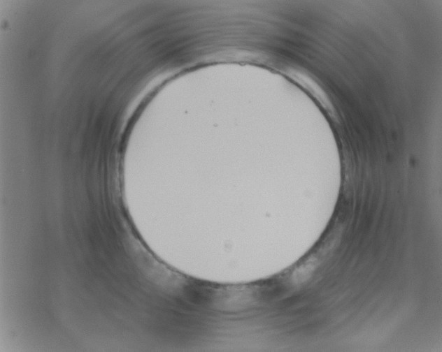 X0000076451000200610271819