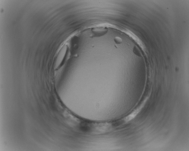 X0000076451001200610271819