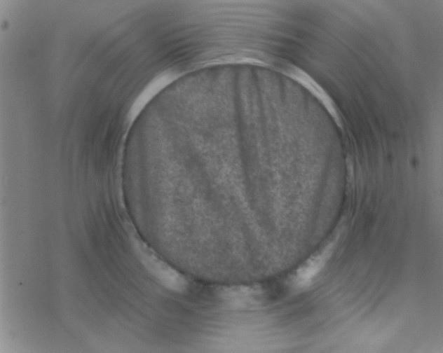 X0000076451002200610271819