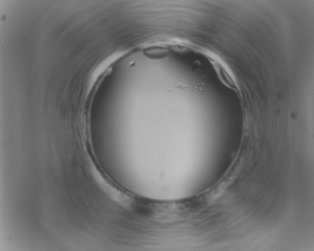 X0000076451003200610271819