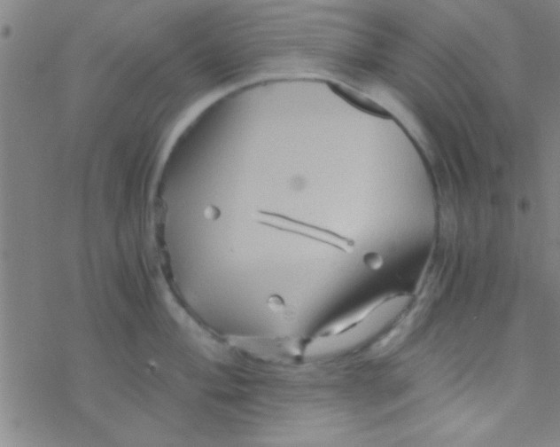 X0000076451004200610271819