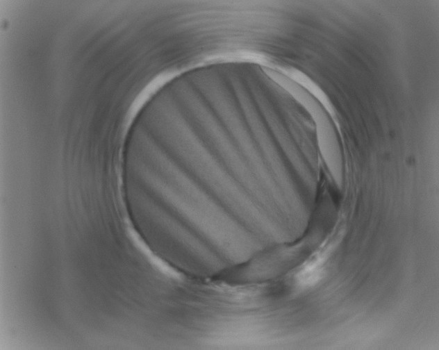 X0000076451005200610271819