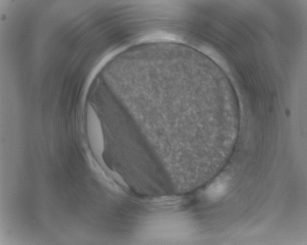 X0000076451008200610271819