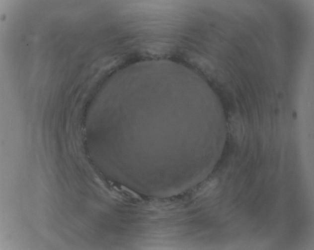 X0000076451009200610271818