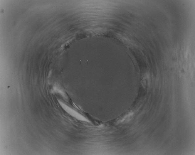 X0000076451010200610271818