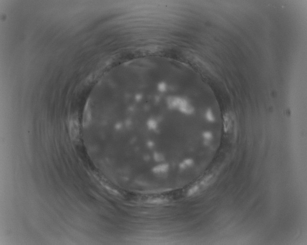 X0000076451011200610271818