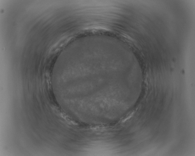 X0000076451014200610271818