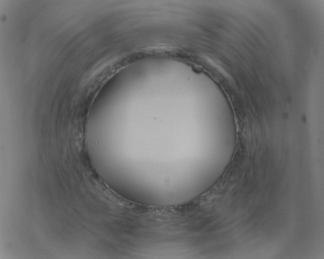 X0000076451015200610271818