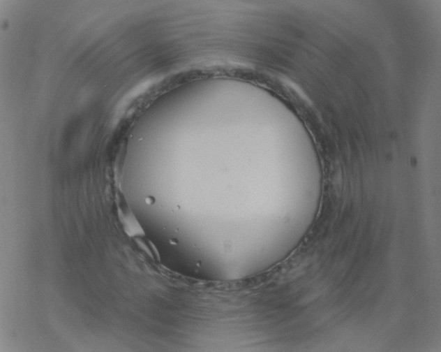 X0000076451016200610271818