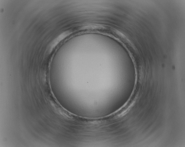 X0000076451017200610271818