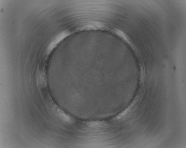 X0000076451018200610271818