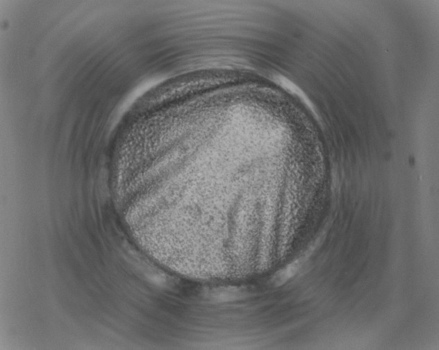 X0000076451019200610271818