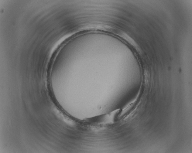 X0000076451020200610271818