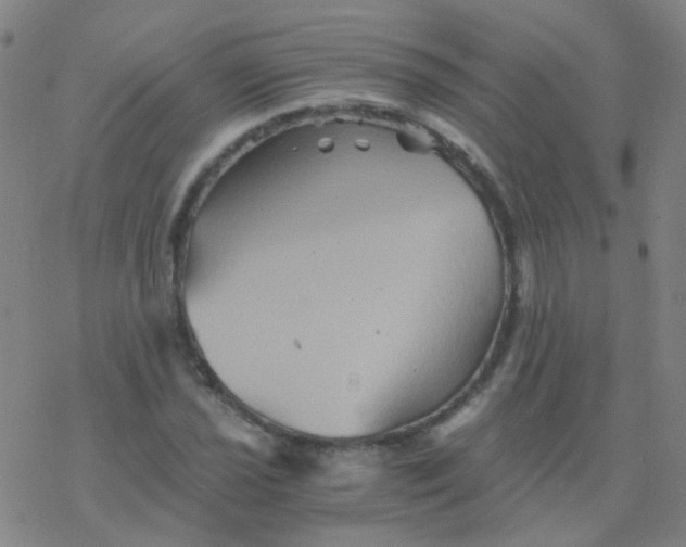 X0000076451021200610271818