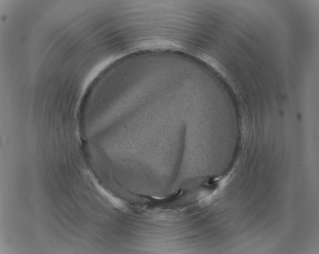 X0000076451022200610271818