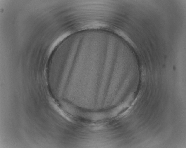 X0000076451026200610271819