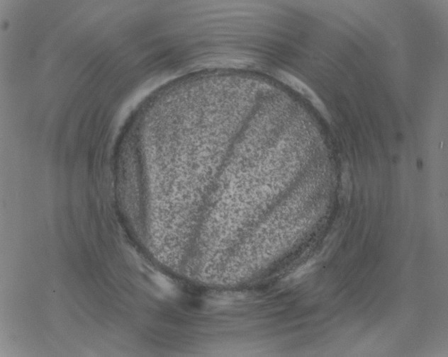 X0000076451027200610271819