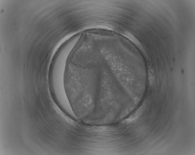 X0000076451028200610271819