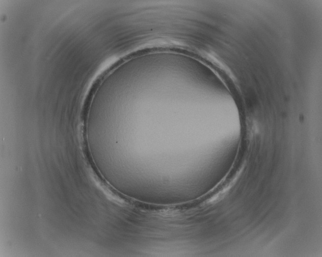 X0000076451029200610271819