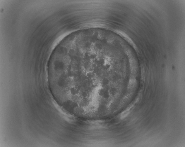 X0000076451031200610271819