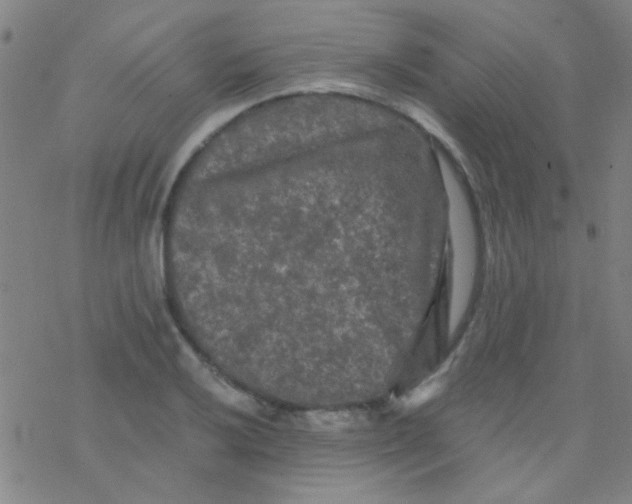 X0000076451032200610271819