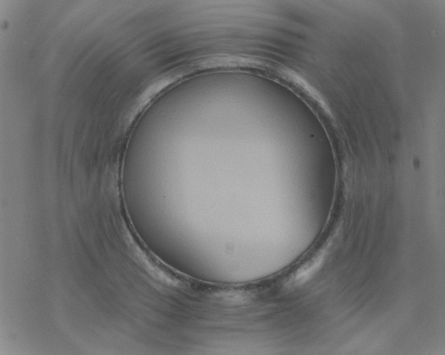 X0000076451033200610271819