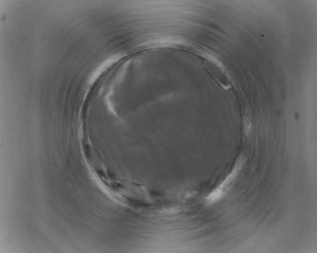 X0000076451034200610271819