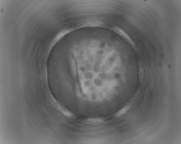 X0000076451035200610271819