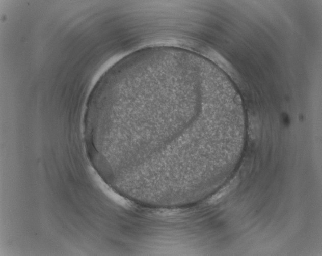 X0000076451036200610271819