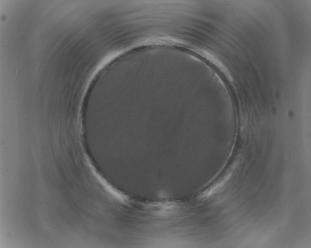 X0000076451037200610271819