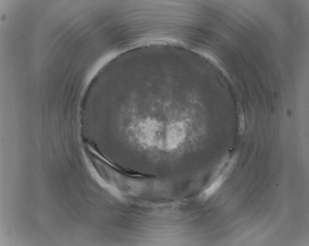 X0000076451038200610271819