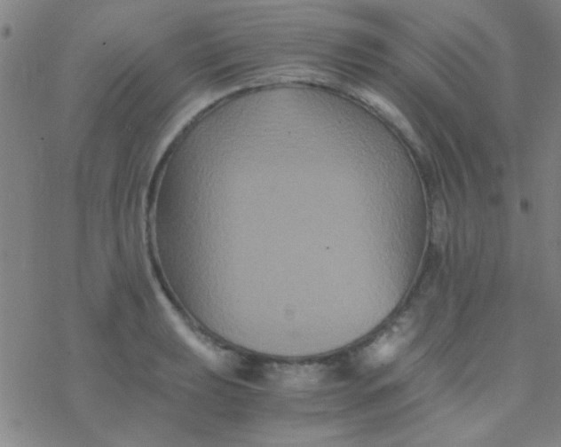 X0000076451039200610271819