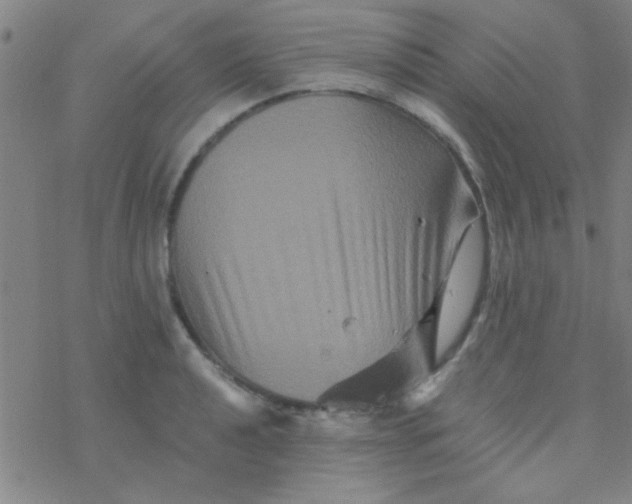 X0000076451040200610271819