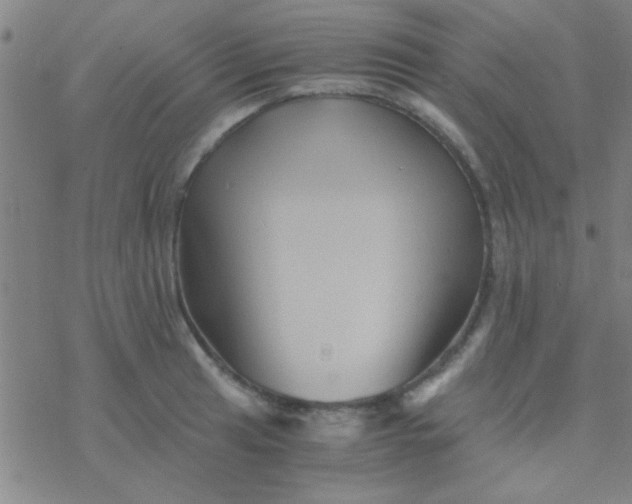 X0000076451041200610271819