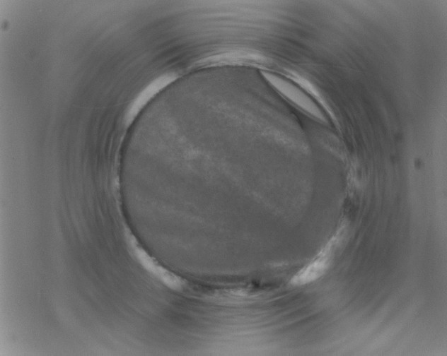 X0000076451042200610271819