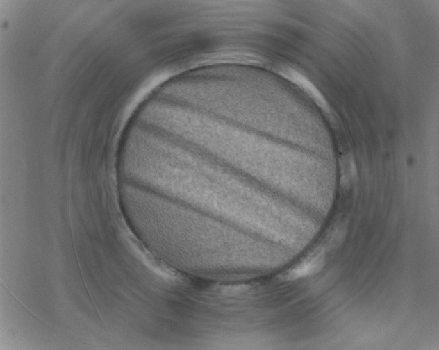 X0000076451043200610271819