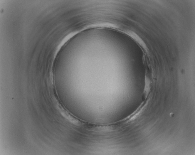 X0000076451044200610271819