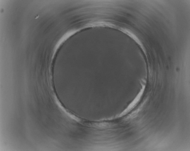 X0000076451045200610271819